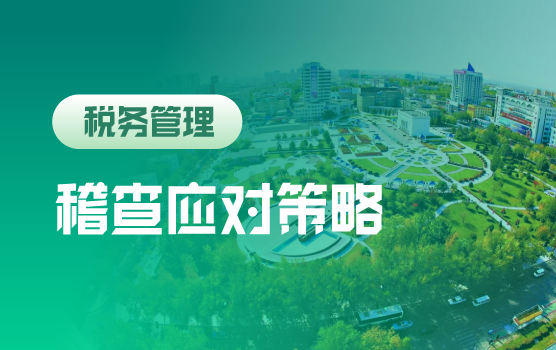 金税四期大数据环境下，税务稽查重点与常态化防控策略