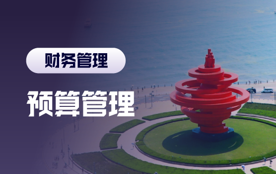 高质量的全面预算编制与监控实务