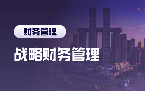 如何建立高效的企业战略财务管理体系（重庆）