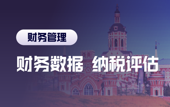 财务报表数据表象分析在纳税评估中的应用
