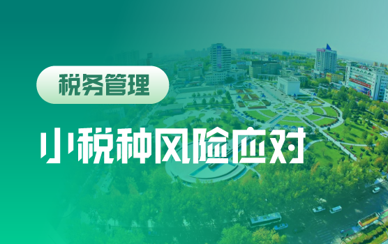新征管形势下不得不防“小税种”风险及应对策略（克拉玛依）