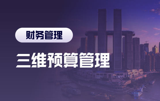掌握三维预算管理，优化企业经营运作