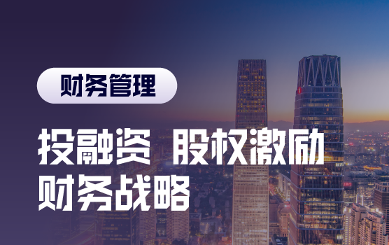 投资、融资、股权激励，企业发展战略下的财务战略规划