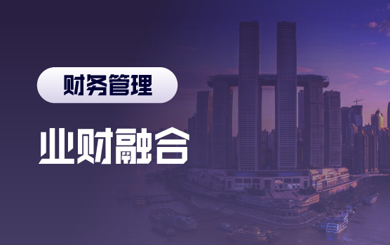 业财融合：经营全环节风险管控与价值创造