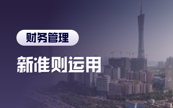 新收入、新租赁准则重大变化详解与运用