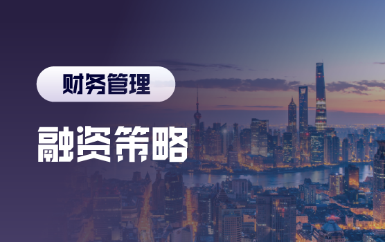 巧用融资策略，助力企业把握机遇逐浪前行