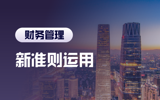 新收入、新租赁准则重大变化详解与运用
