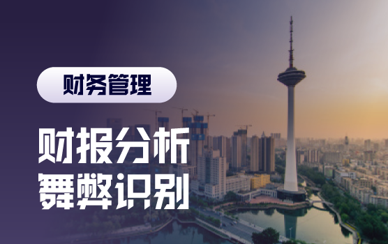 新企业会计准则下财务报表深度分析与舞弊识别