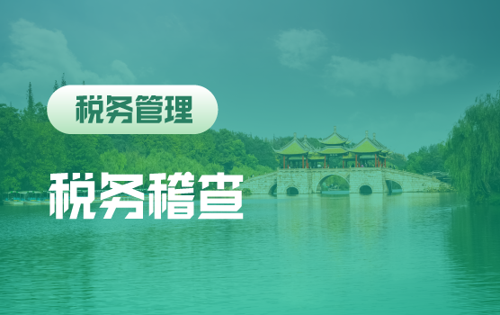 智慧税务下稽查风险全解析与高效应对策略