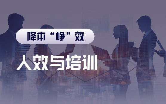 【迷你课】财务如何找到“人效”的突破口之培训