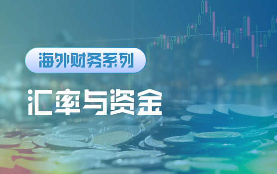 【迷你课】汇率风险与资金管理