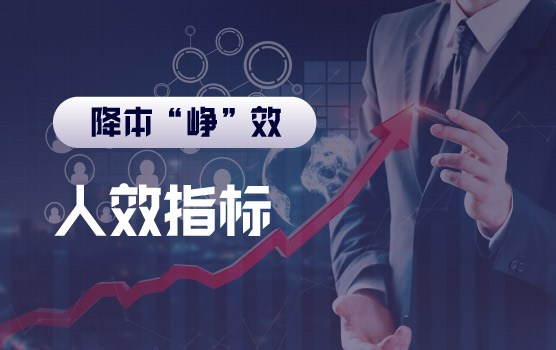 【迷你课】财务如何找到“人效”的突破口之运用人效指标支持业务