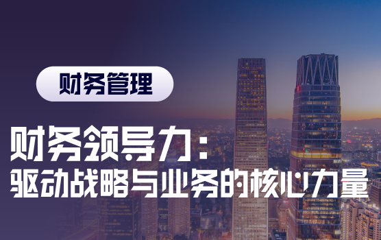 财务领导力：驱动战略与业务的核心力量