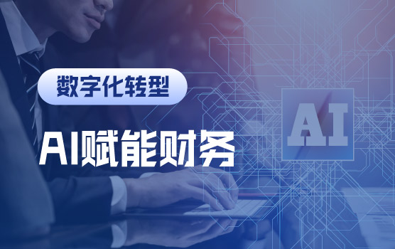 AI重构财务生产力：DeepSeek智能决策全场景实战应用Ⅱ