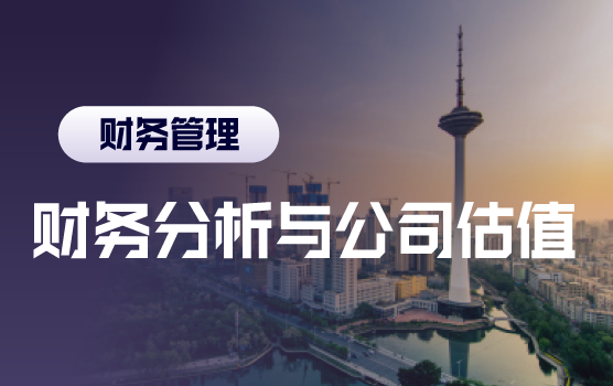资本视觉下的财务洞察：财务分析与公司估值