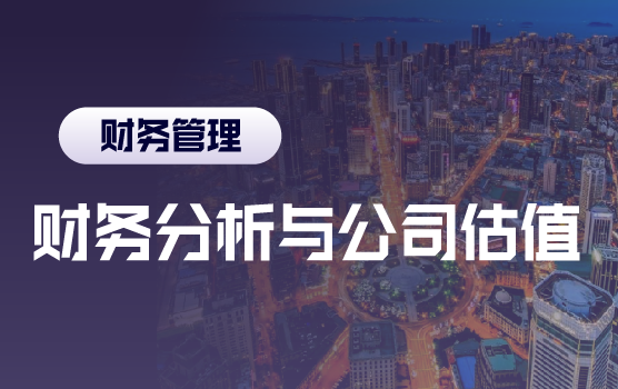 资本视觉下的财务洞察：财务分析与公司估值