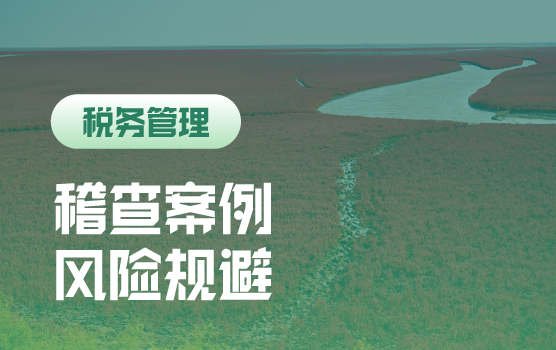 税务“倒查”背景下的稽查典型案例分析与规避策略