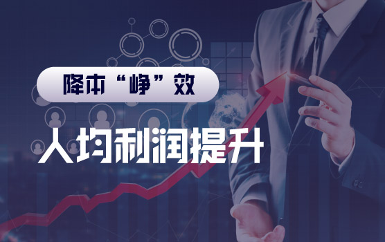 【迷你课】降本增效之人均利润的提升