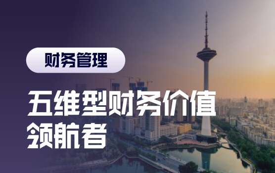 金牌财务总监 — 五维型财务价值领航者