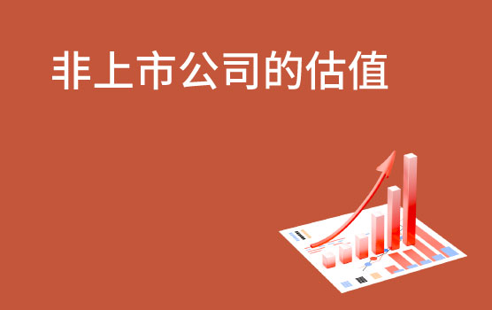 【你好！金融】如何迅速给非上市公司估值
