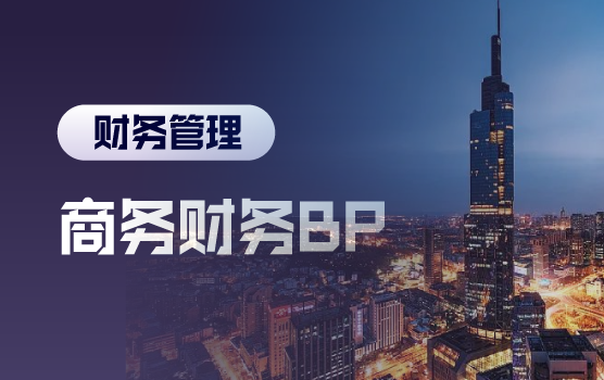 商务财务BP实战：从数据分析到商业价值突破