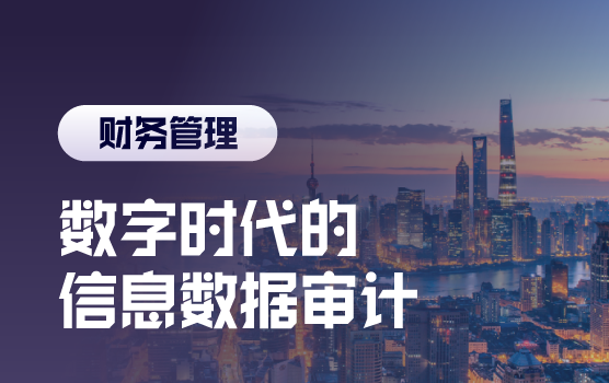 智审未来：AI技术重塑审计流程与价值创造