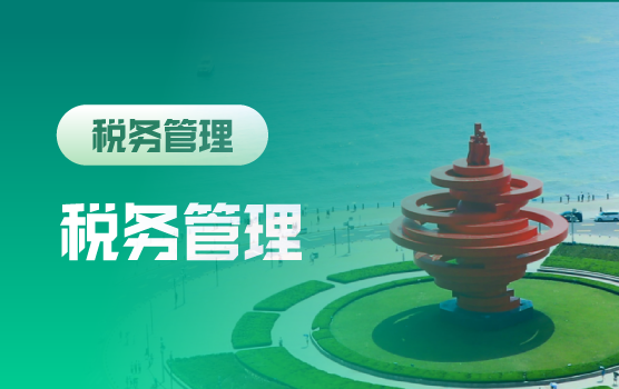2025 企业高频涉税风险指标与证据链整理