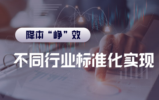 【迷你课】标准化在不同行业的具体实现