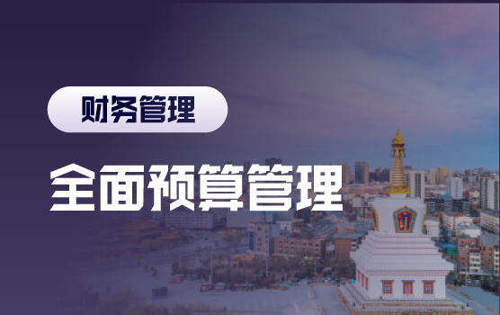 从预算到预赢： 微利时代企业全面预算管理的重构与突围
