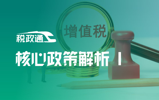 增值税核心政策深度解析与实务应用 I