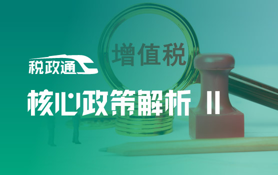 增值税核心政策深度解析与实务应用 II