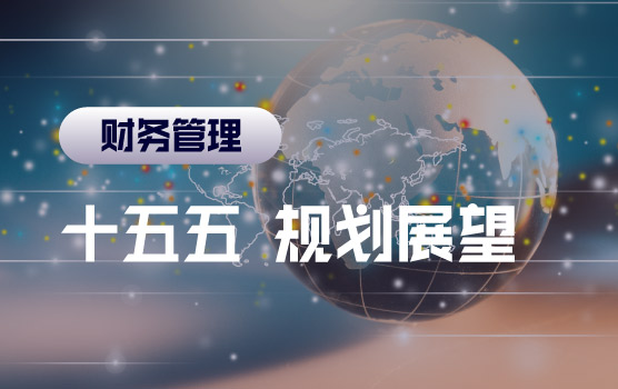 四中全会下”十五五”未来规划展望