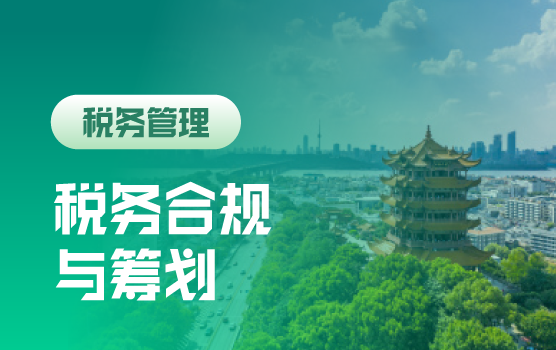 2026增值税法落地生存指南：过渡期合规要点与稽查应对策略