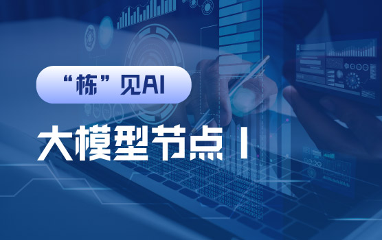 【迷你课】财务智能体搭建之大模型节点Ⅰ-节点组成及架构设置