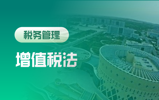 增值税落地：企业防风险、享惠政、降税负案例解析与合规布局