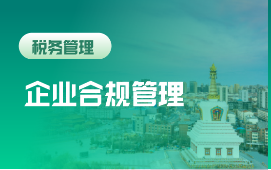破局新纪元——企业财税的合规重构、数智跃迁与价值驱动