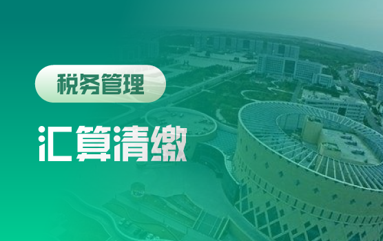 数字化监管新态势：汇缴后风险破局与稽查应对策略