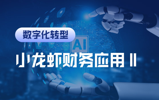 小龙虾财务应用实战分享Ⅱ