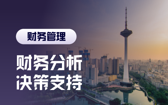 财务数据分析与经营决策支持