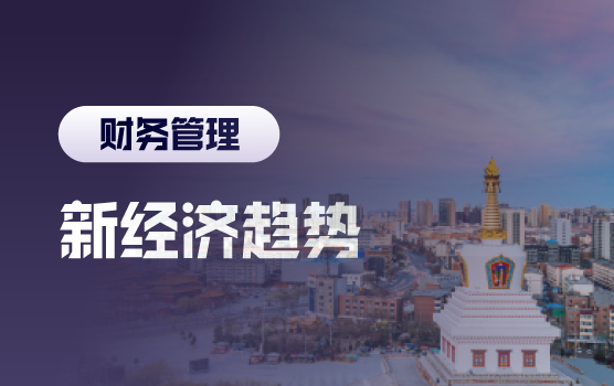 十五五破局与重构：新经济趋势与财务风险应对