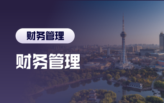 财务数据分析与经营决策支持