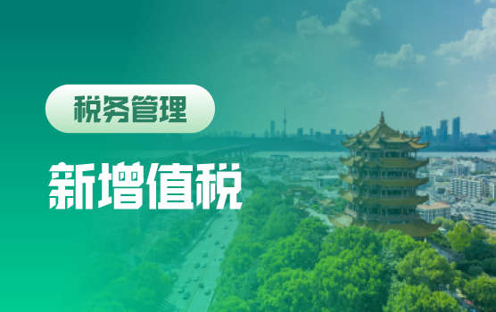 2026年增值税新政下财税痛点突破与稽查风险应对