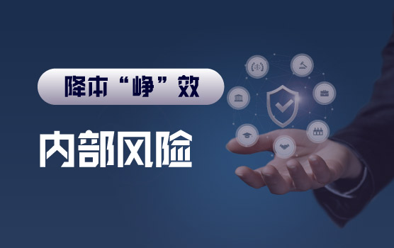 【迷你课】供应链的风险之二——内部风险
