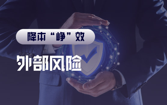 【迷你课】供应链的风险之一——外部风险