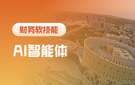 财务数智化转型实战： AI智能体打造自动化财务助手
