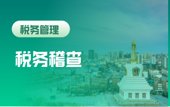 税法商融合：税务稽查的程序合规审视与证据链管理