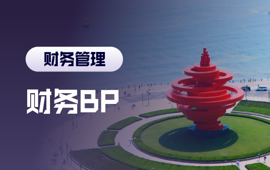 财务BP核心竞争力的构建与提升