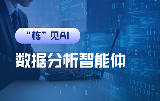 【迷你课】数据分析COZE智能体工作流搭建