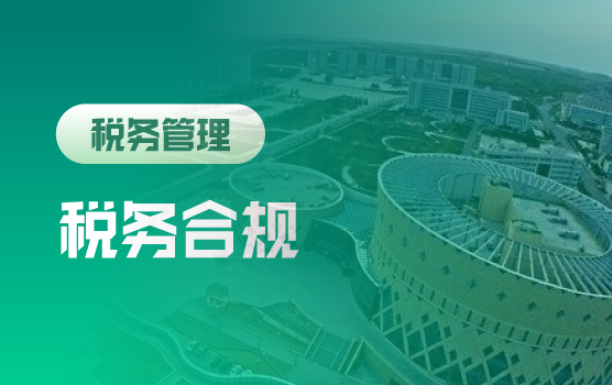 从合规遵从到体系重构：新增值税时代的风险规避与价值创造