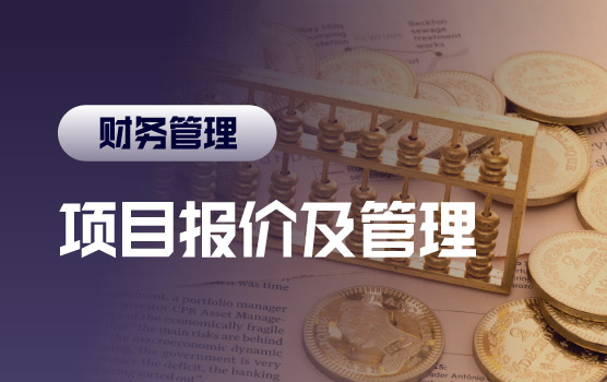 项目报价及项目管理